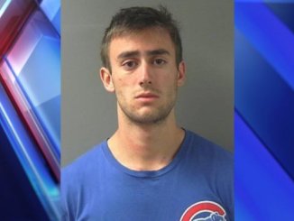 Indiana University Student Allegedly Beats Skunk To Death With a Shovel